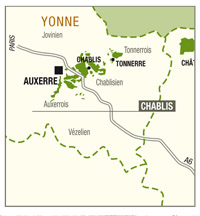 Le vignoble du Chablisien